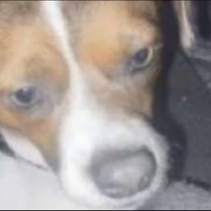 Meet your Posher, Erick